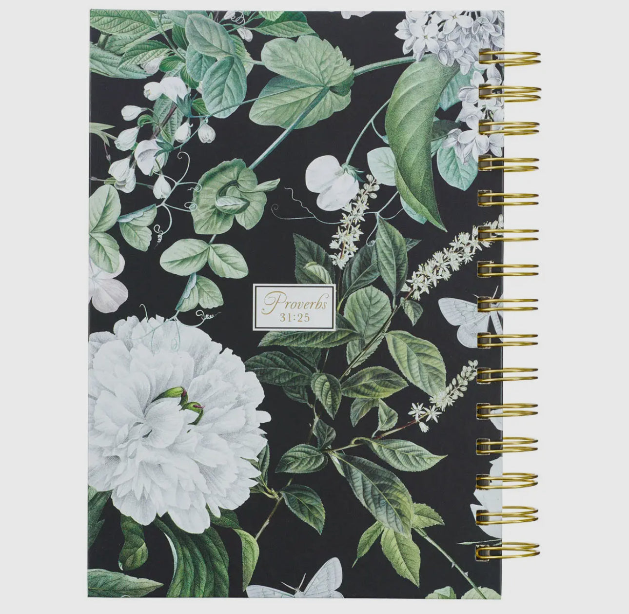 Clothed W/Strength & Dignity Wirebound Journal - Prov. 31:25