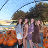 Brown Gingham Scalloped Blouse