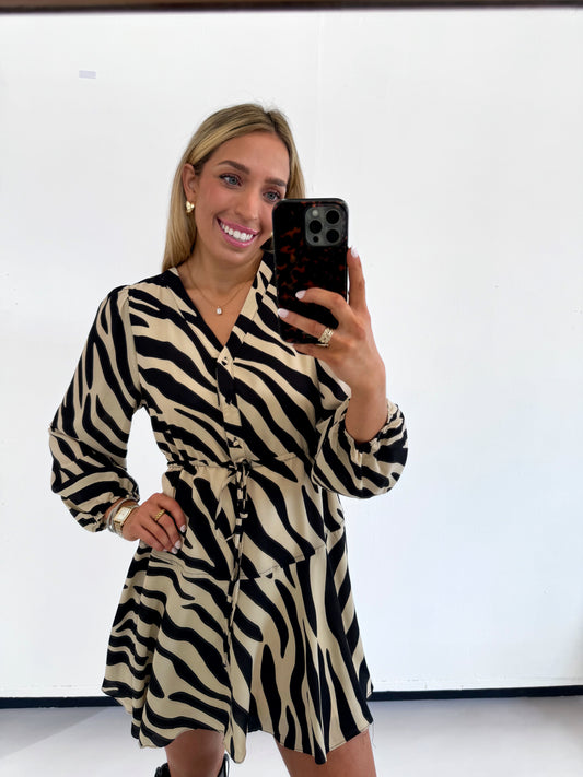 ZEBRA PRINT LONGSLEEVE TIE FLOW DRESS - (large left)