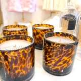 CASSIS VANILLA AMBER TORTOISE SOY BLEND CANDLE