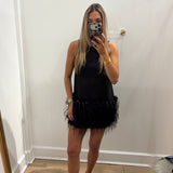 LBK BLACK FEATHER SHEER MINI DRESS