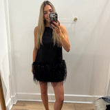 LBK BLACK FEATHER SHEER MINI DRESS