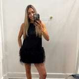 LBK BLACK FEATHER SHEER MINI DRESS